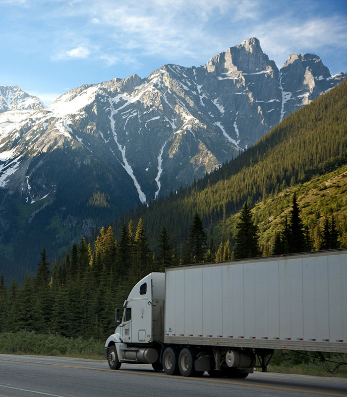 Ритейлеры ЕС